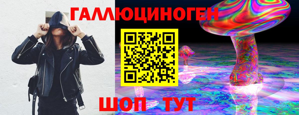 Галлюциногенные грибы Psilocybine cubensis Десногорск